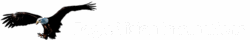 Logo Eagle Vision International1
